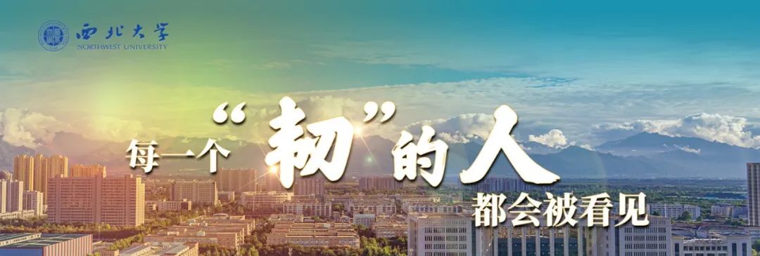 大家上午好