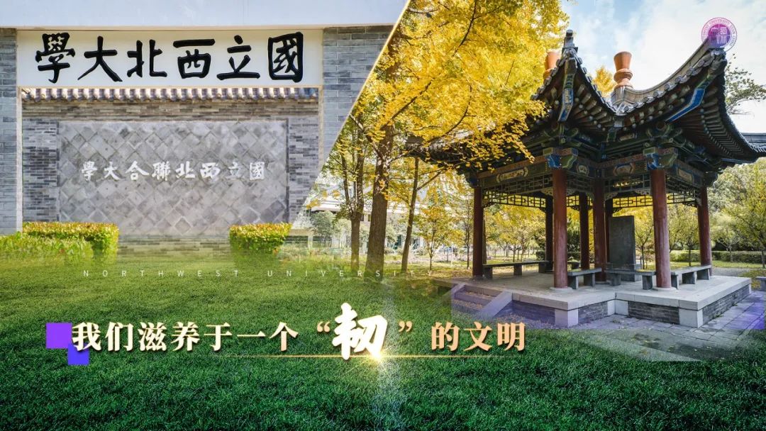 今天也是我第一次穿上满身西大荣光的导