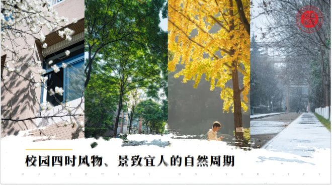 西大就对大家的入学翘首以盼