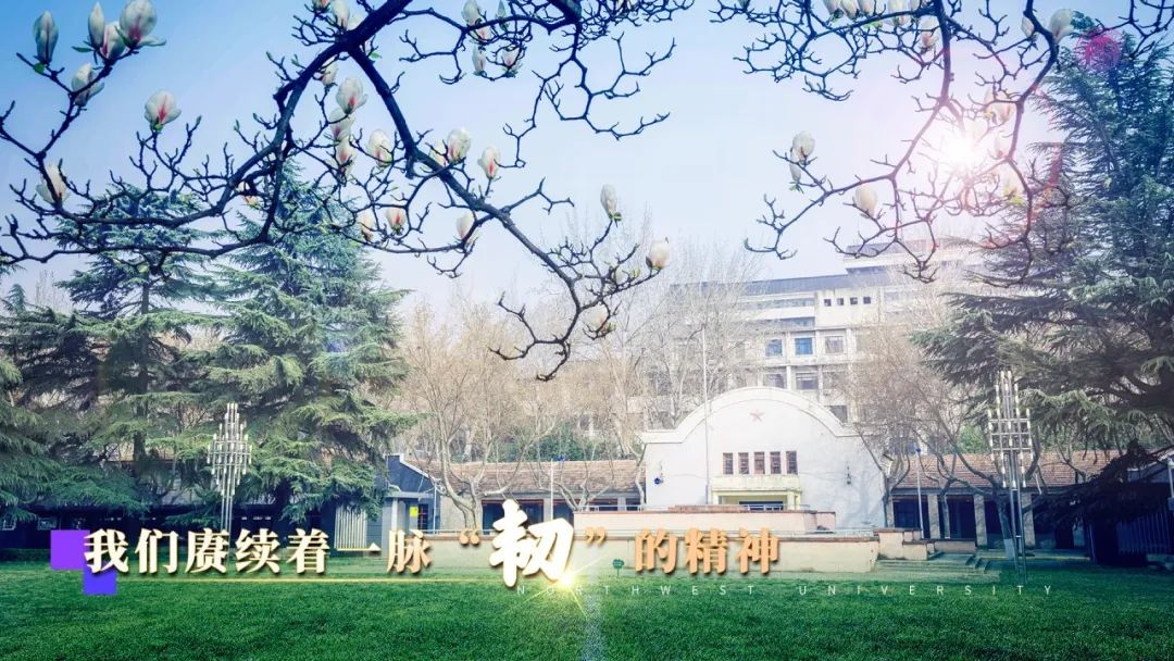 今天是我第一次参加西大的毕业典礼