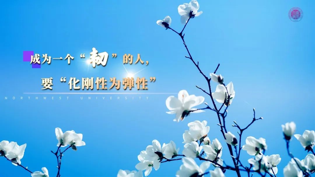 是我来到西大的第221天